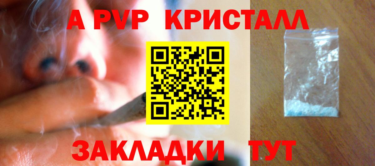 A PVP СК КРИС Сургут