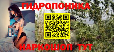 СК Краснознаменск