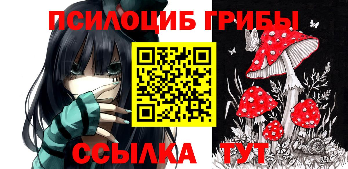 Псилоцибиновые грибы GOLDEN TEACHER  Галлюциногенные грибы мицелий  Сургут 